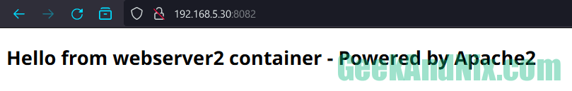 Accessing container from outside host