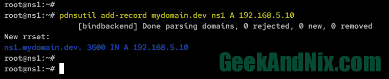 Adding A record for name server ns1.mydomain.dev