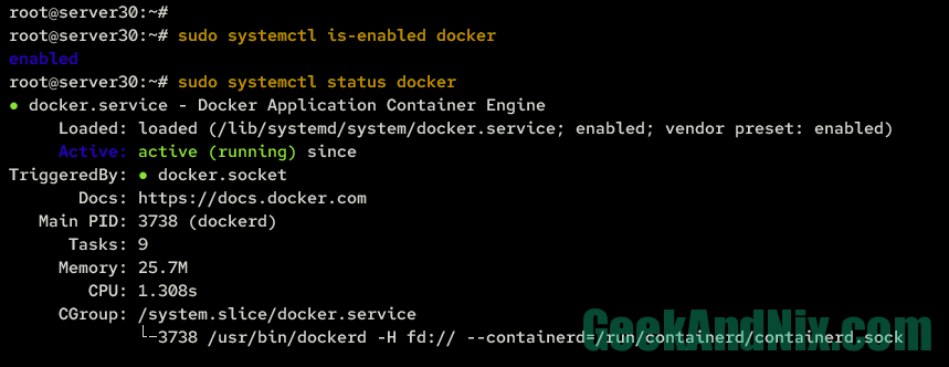 Checking docker service status