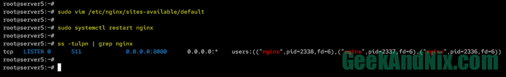 Configuring Nginx to run on port 8080