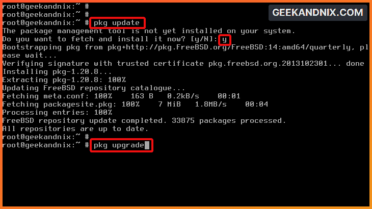 Installing pkg package index on FreeBSD