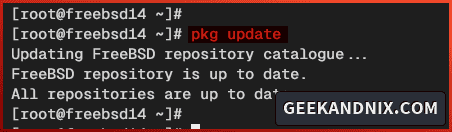 Updating FreeBSD package index or repository