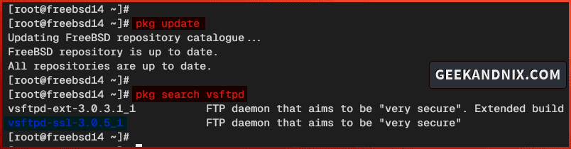 Updating FreeBSD package index and searching for vsftpd packages