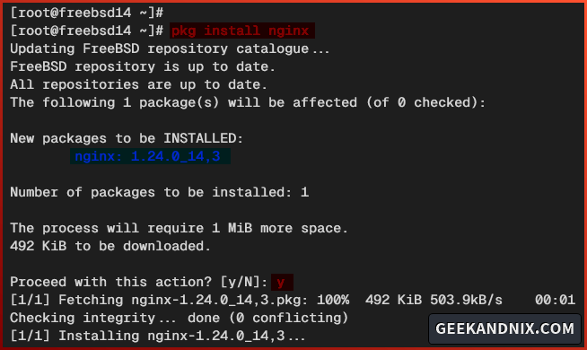 Installing Nginx on FreeBSD