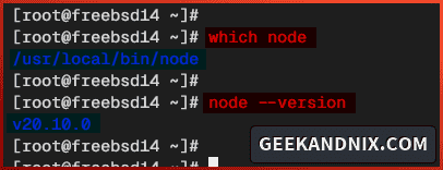 Checking Node.js path and version