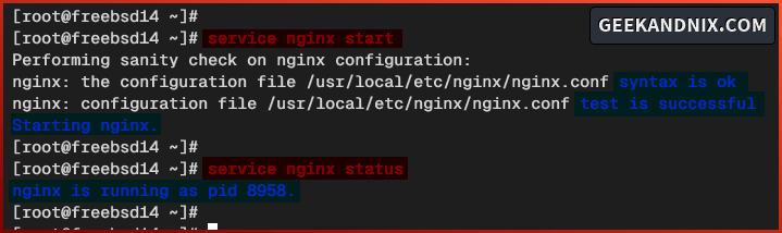 Starting and verifying Nginx service