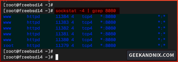 Checking Apache web server running on port 8080