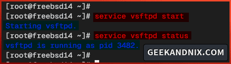 Starting and verifying vsftpd service