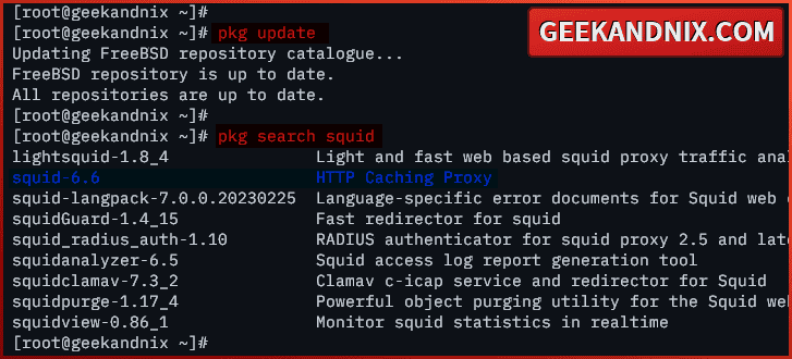 Updating package index and search squid packages
