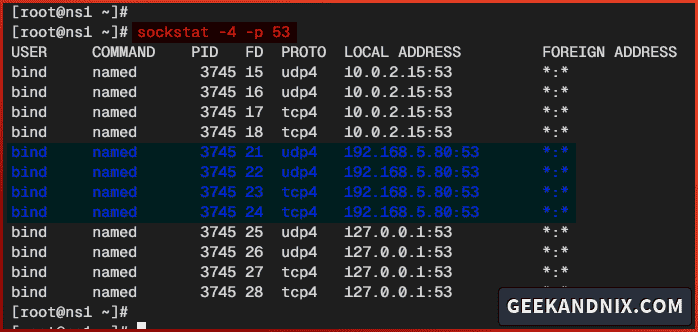 Checking BIND port on FreeBSD via sockstat