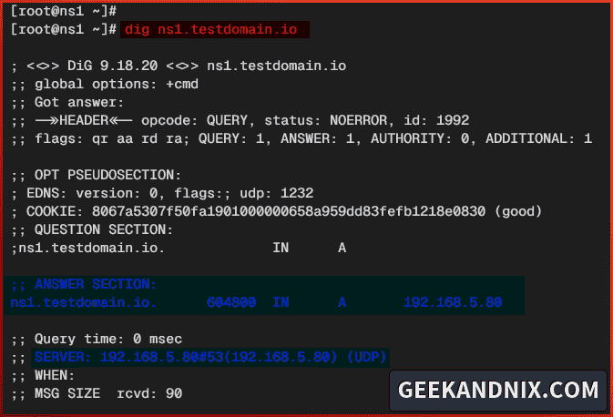 Checking name server ns1.testdomain.io