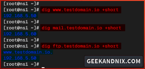 Checking domain names (forward zone) via dig