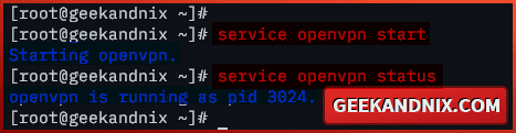 Staring and verifying OpenVPN service on FreeBSD