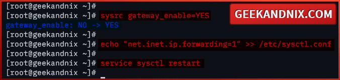 Enable port-forwarding and host gateway on FreeBSD