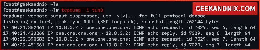 tcpdump - checking connections from OpenVPN client to internet