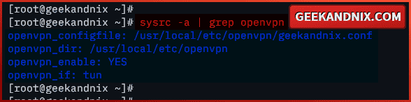 Checking OpenVPN service