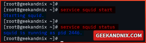 Starting and verifying Squid service