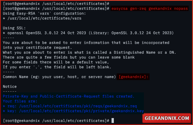 Generating OpenVPN server certificate