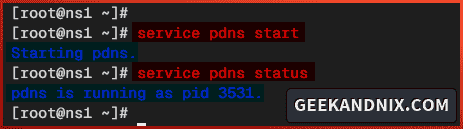 Starting and verify pdns service