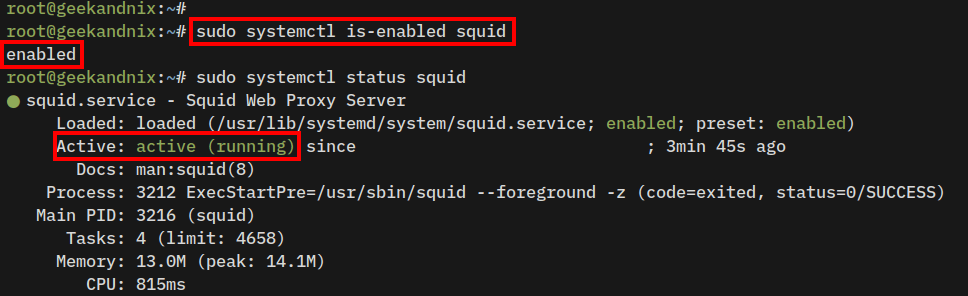 Checking squid service