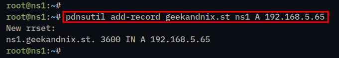 Adding A record for ns1.geekandnix.st