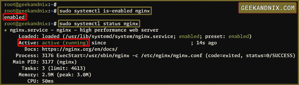 Checking Nginx service status