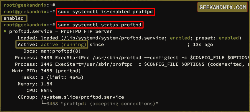 Checking proftpd service status