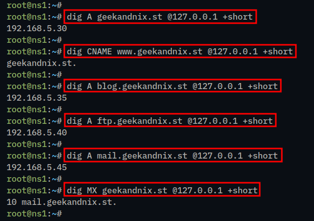 Checking DNS server installation with dig command line