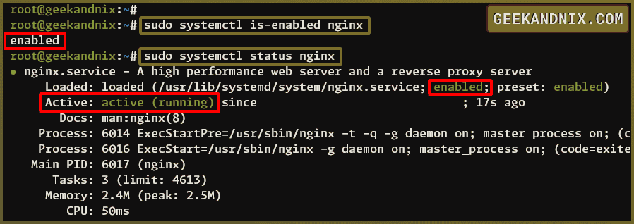 Checking Nginx service status