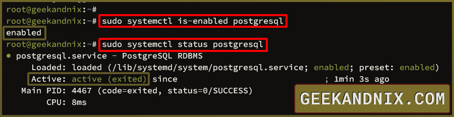 Checking PostgreSQL service status
