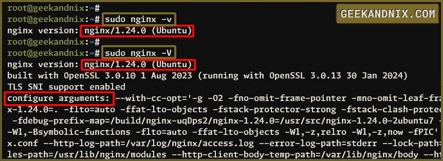 Checking Nginx version