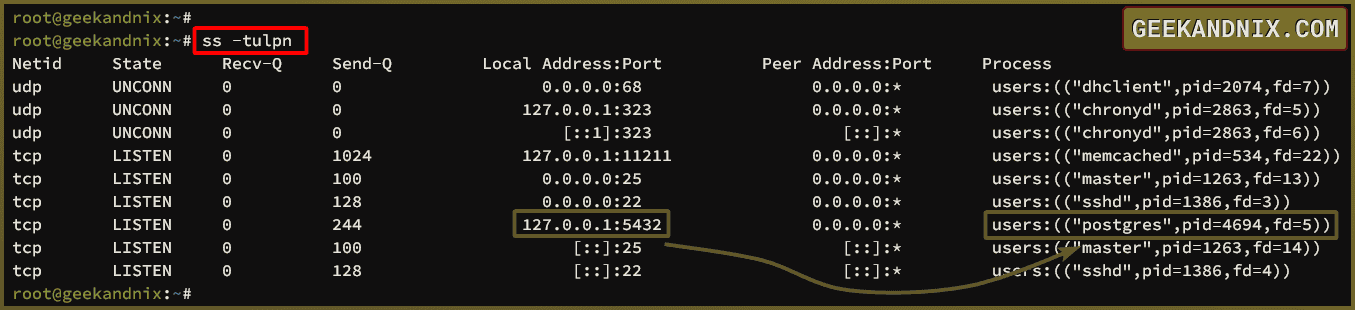 Checking PostgreSQL server port