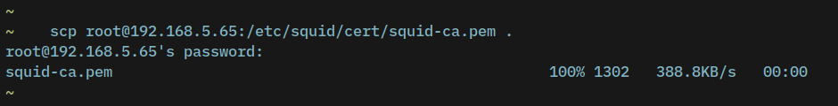 Downloading squid-ca.pem certificate using scp