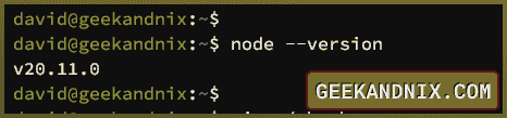 Checking Node.js version